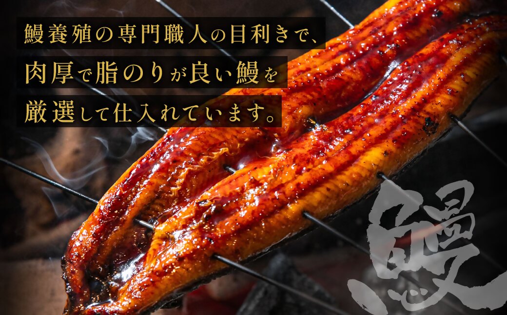 うなぎ蒲焼き(約100g)×4Pセット【魚住商店】_HA1496