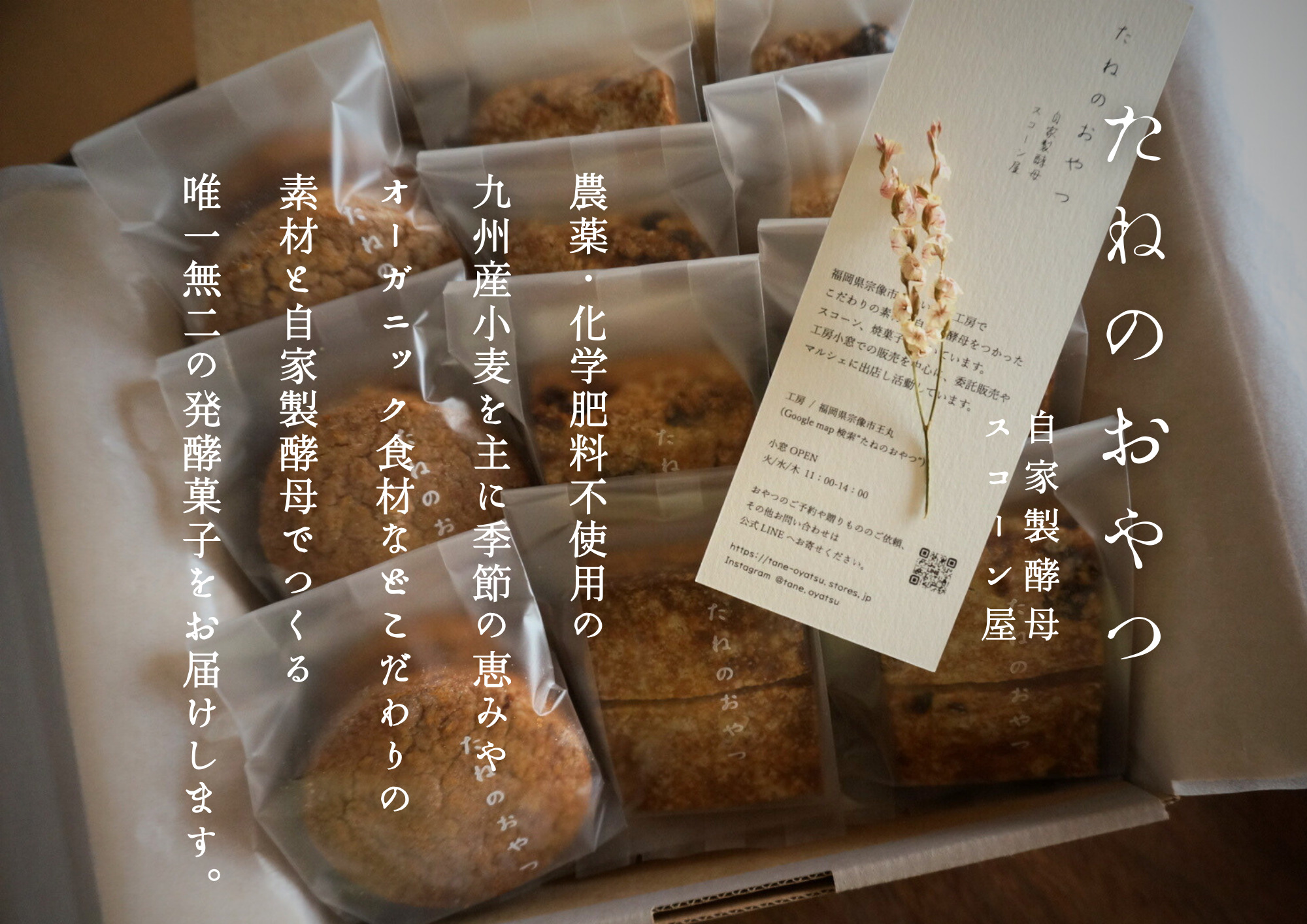 プラリネバターサンドと自家製酵母スコーン【たねのおやつ】_HA1674