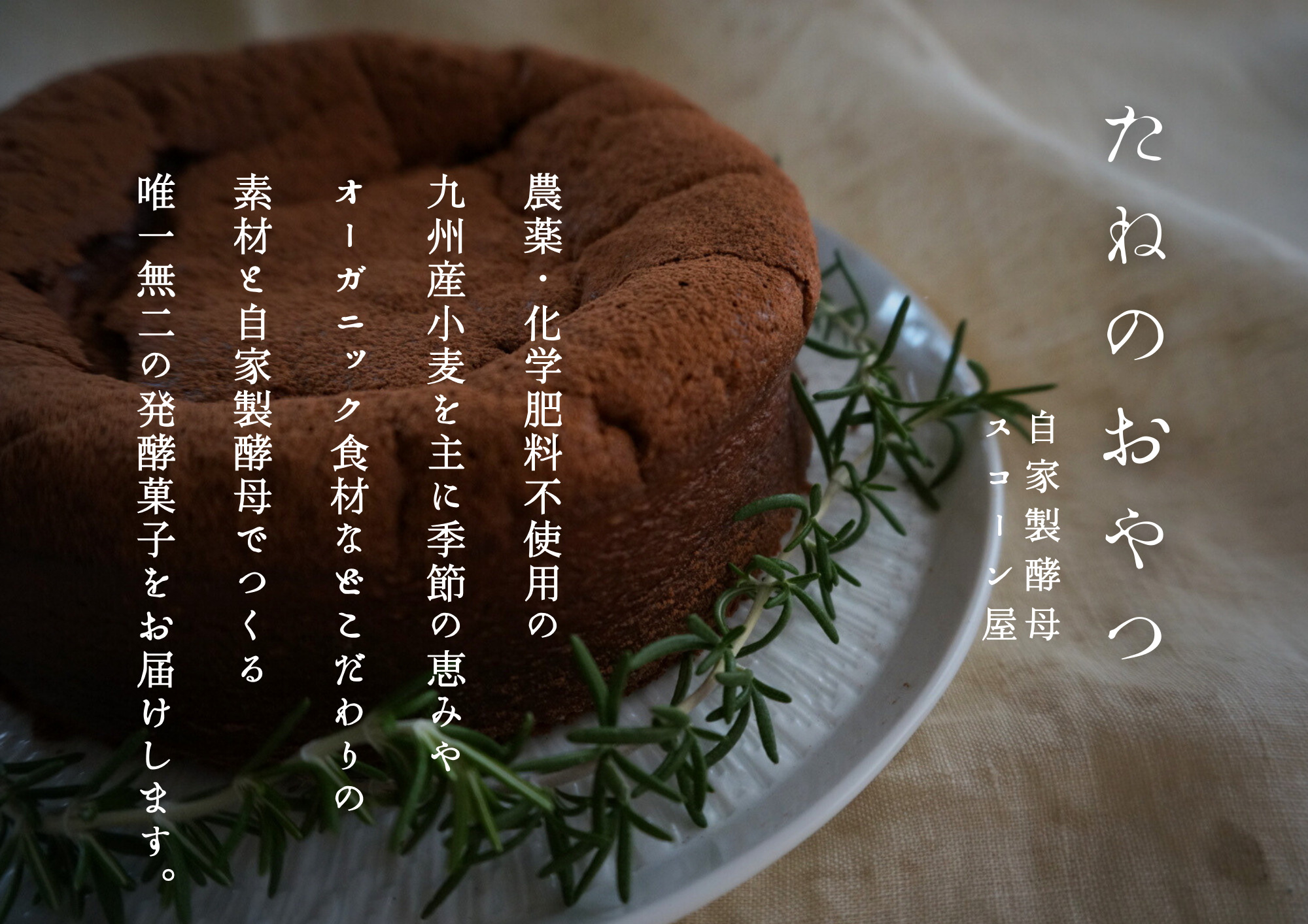 熟成ガトーショコラ【たねのおやつ】_HA1675