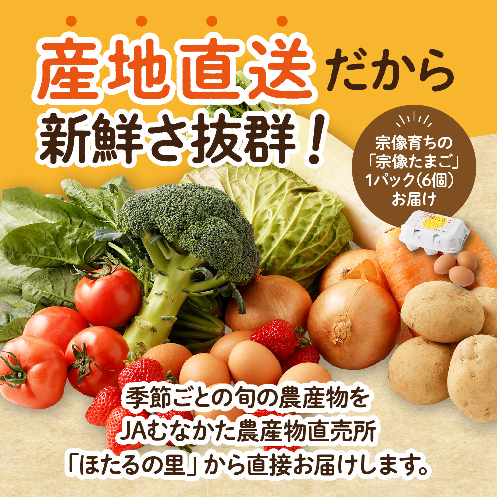 むなかた旬のお任せセット（野菜・フルーツ・卵） 9～11品【JAほたるの里】_HA1712