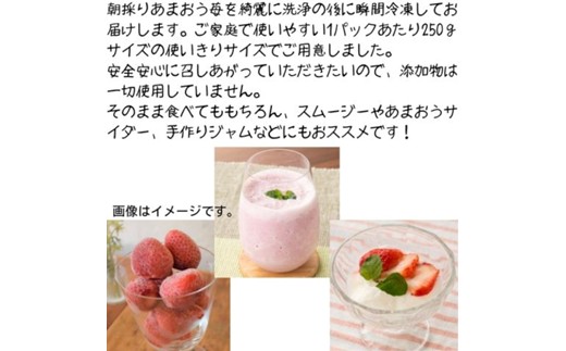 福岡県産 冷凍あまおう500g(250g×2個)【株式会社木村食品】_HA1739