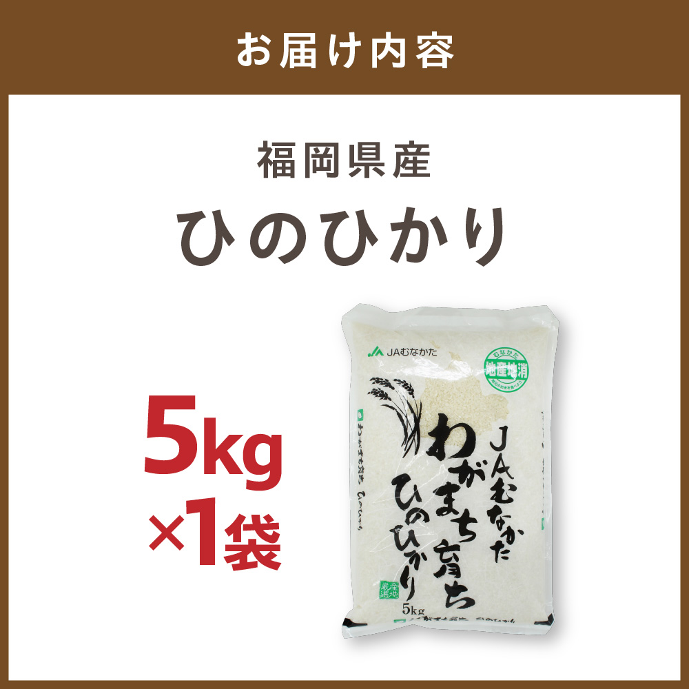 令和7年産  「ひのひかり」5kg【ほたるの里】_HA1786