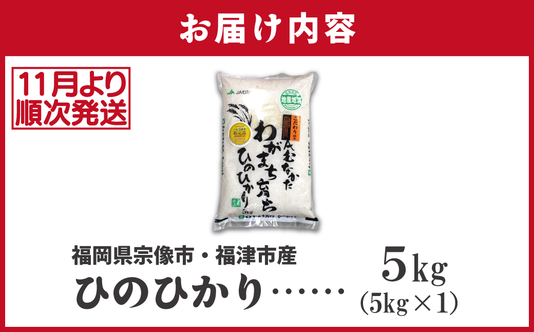 令和7年産 新米先行予約！「ひのひかり」5kg【ほたるの里】_HA1786