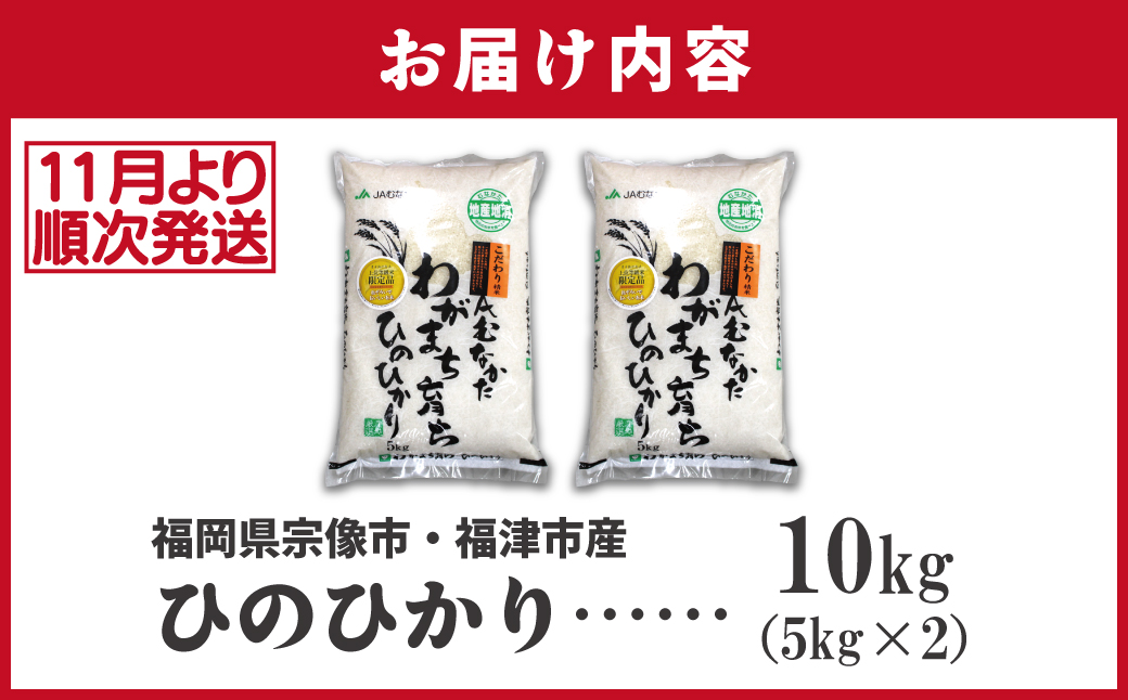 令和7年産新米先行予約！「ひのひかり」10kg【ほたるの里】_HA1787