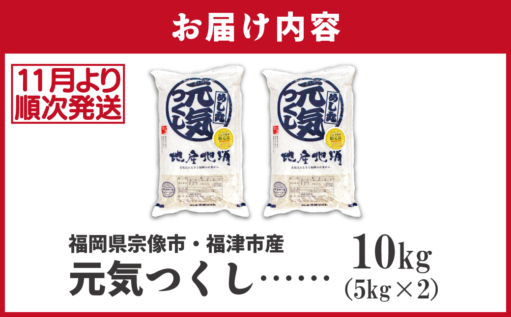 令和7年産 新米先行予約！JAよりお届け！福岡県ブランド米「元気つくし」10kg【ほたるの里】_HA1789