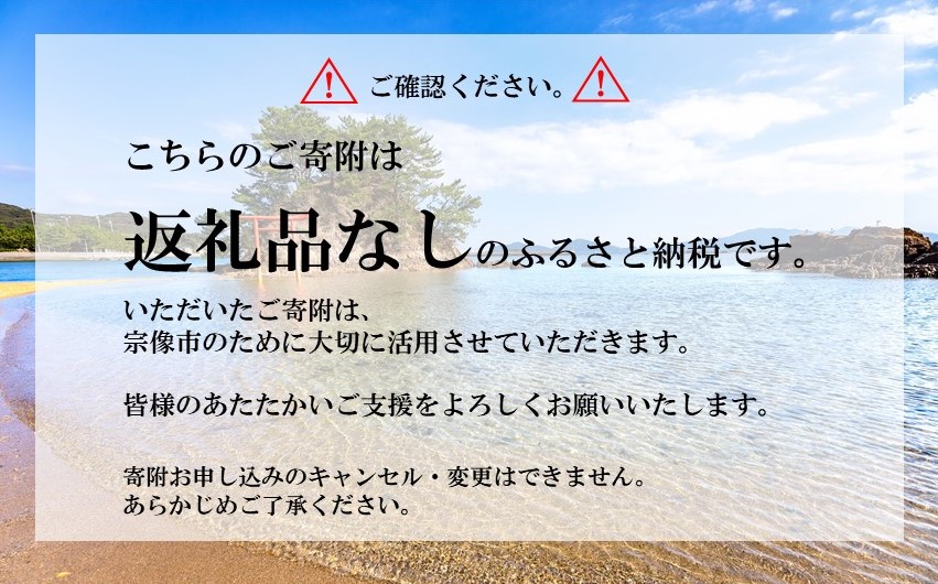 【返礼品なし】宗像市ふるさと応援寄附 1,000,000円_HA1802 1,000,000円