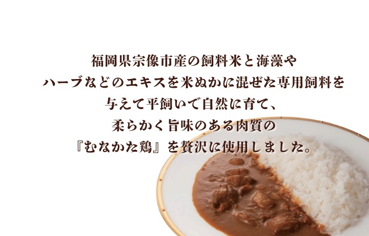 【道の駅むなかた】むなかた鶏カレー 6個セット_HA1827