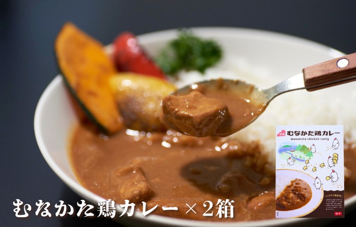 【道の駅むなかた】むなかた鶏シリーズ 鶏づくしセット（計1.3kg）_HA1837