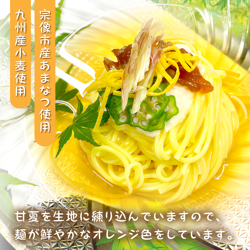 【道の駅むなかた】宗像素材の手延べそうめん彩りセット_HA1840