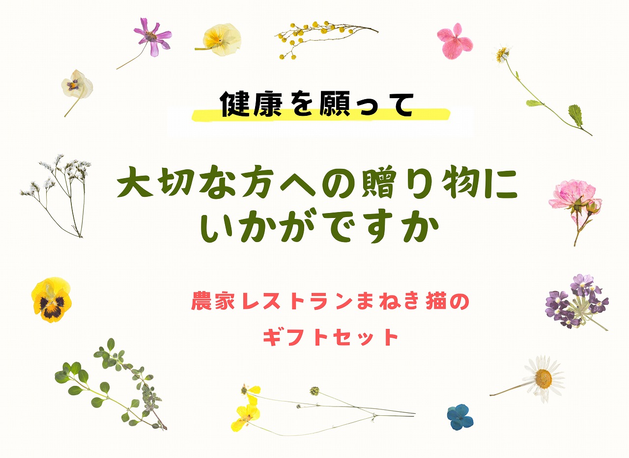 【一週間以内に発送】〈ギフト〉ごはんセット【アグリCATS】_HA1846