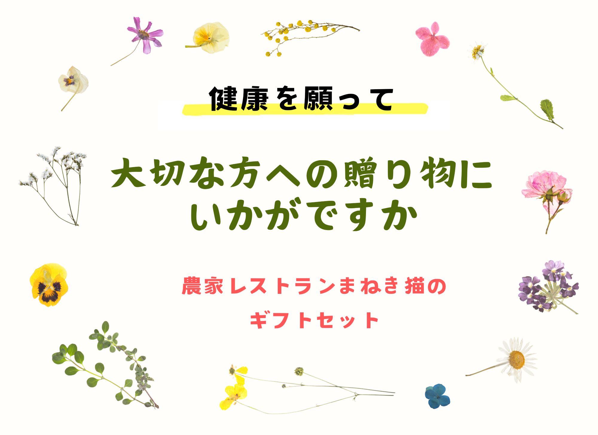 【一週間以内に発送】〈ギフト〉ジャム&ドレッシングセット【アグリCATS】_HA1847