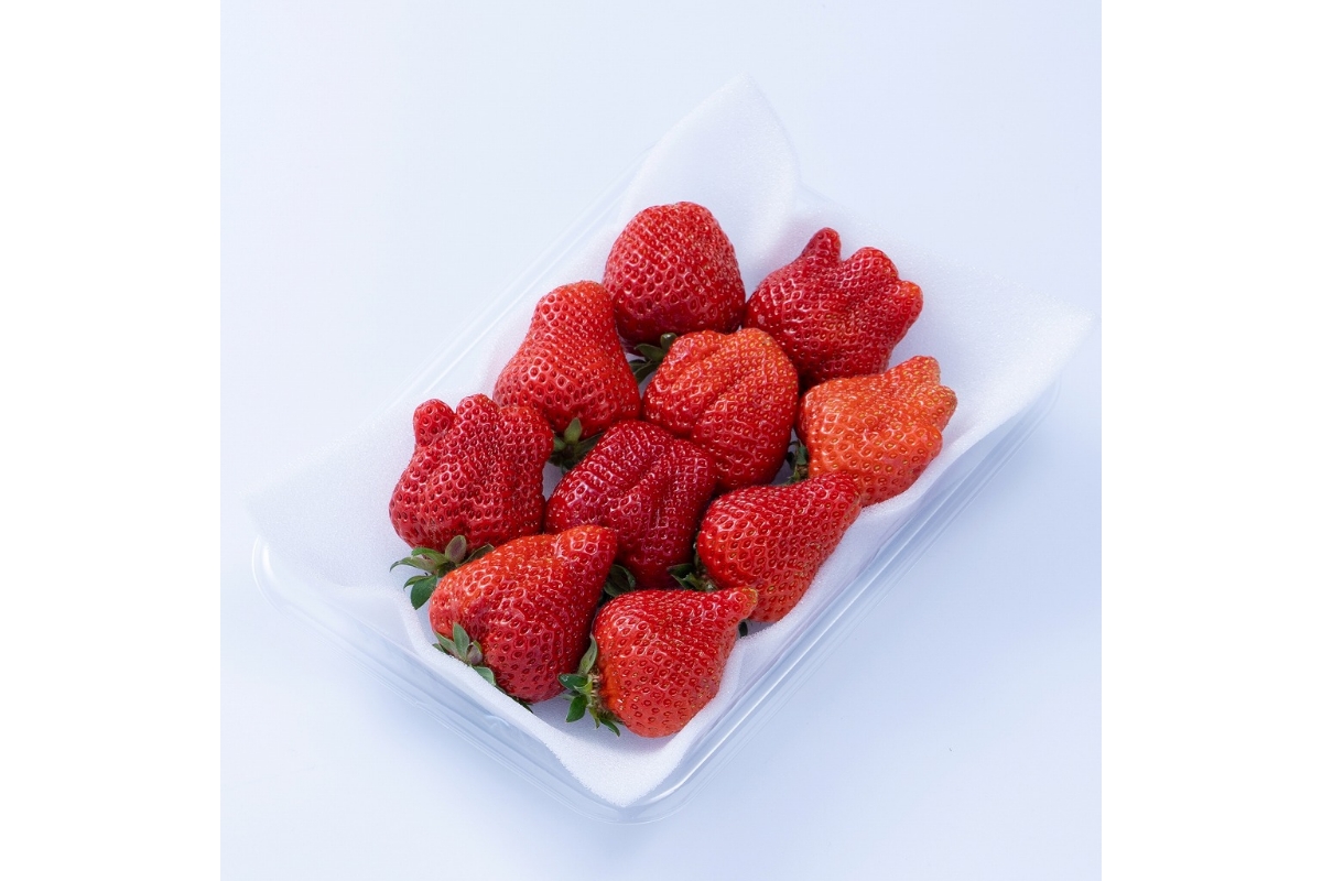 福岡産【冬】あまおう4パック【南国フルーツ株式会社】_HA1910