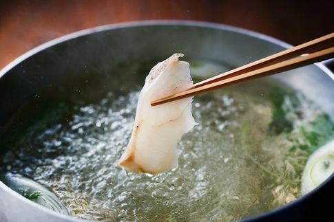 玄界灘産天然くえしゃぶ（2～3人前）【宗像漁業協同組合】_HA1930