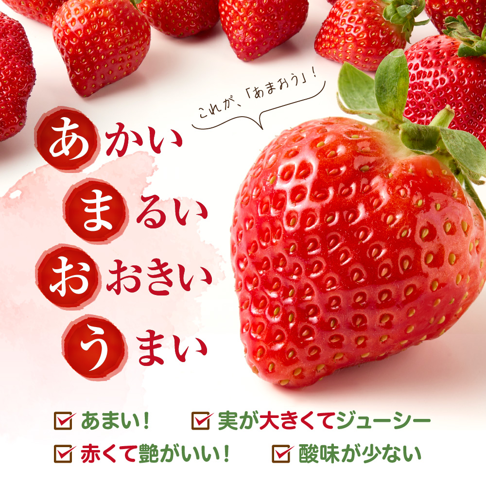 【アフター保証】 JAよりお届け！「博多あまおう」約280g×2パック【JAほたるの里】_HA1937