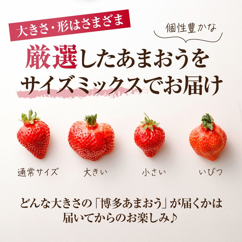【アフター保証】 JAよりお届け！「博多あまおう」約280g×2パック【JAほたるの里】_HA1937