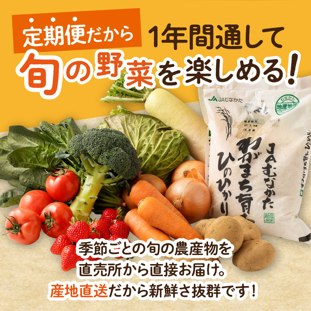 【定期便／年12回／毎月お届け】むなかた旬のお任せセット(野菜・フルーツ・お米／9～11品)【ほたるの里】_HB0029
