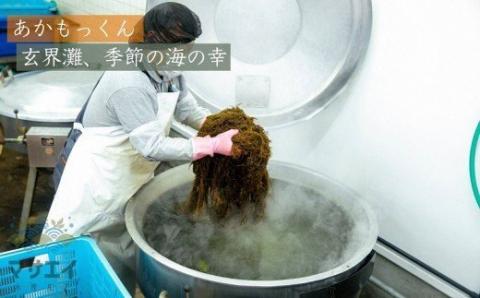 【定期便／年12回／毎月お届け】宗像のアカモク「あかもっくん」1040g(80g×13個)【マサエイ水産加工】_HB0049