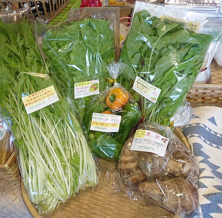 【定期便/年4回 】有機肥料で育った季節の農産物&加工品のセット【アグリCATS】_HB0115