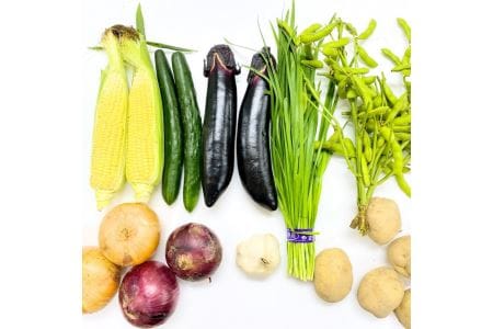 【定期便／年12回／毎月お届け】【道の駅むなかた】 旬のお野菜詰合せセット_HB0124