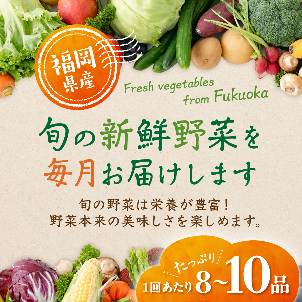 【定期便／年12回／毎月お届け】【道の駅むなかた】 旬のお野菜詰合せセット_HB0124