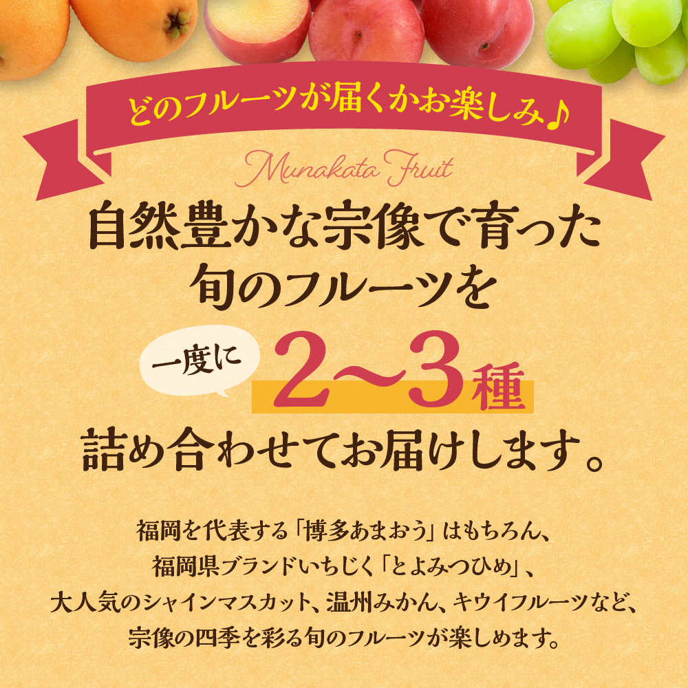 何が届くかお楽しみ！むなかた旬のフルーツ福袋定期便【年4回】【JAほたるの里】_HB0165