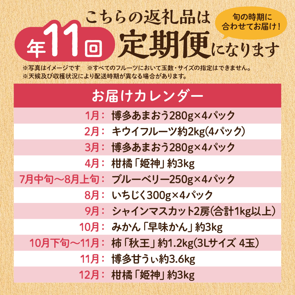 【定期便/年11回】JAむなかた厳選！旬のフルーツ定期便【JAほたるの里】_HB0171