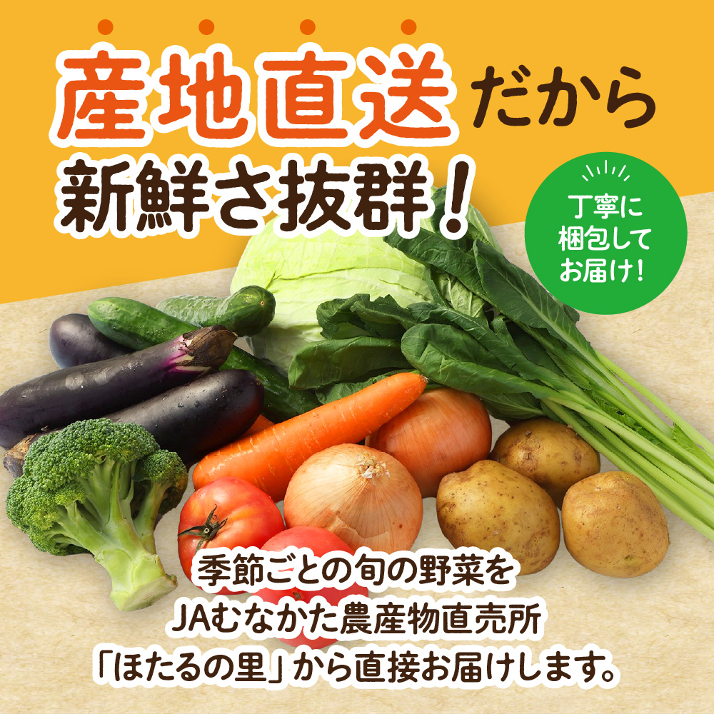 【毎月お届け】むなかた旬のお任せセット（野菜）7～9品【JAほたるの里】_HB0173