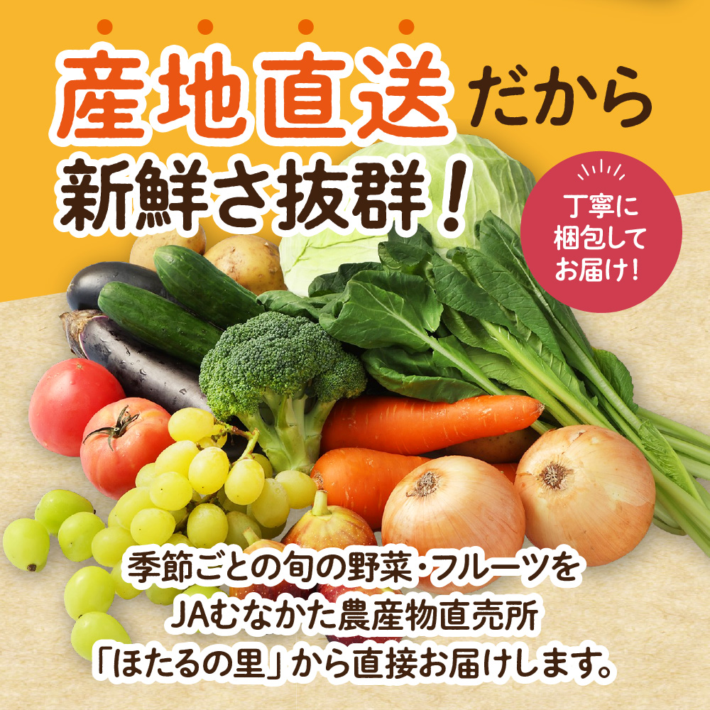【偶数月お届け】むなかた旬のお任せセット(野菜・フルーツ) 9～11品 【JAほたるの里】_HB0174