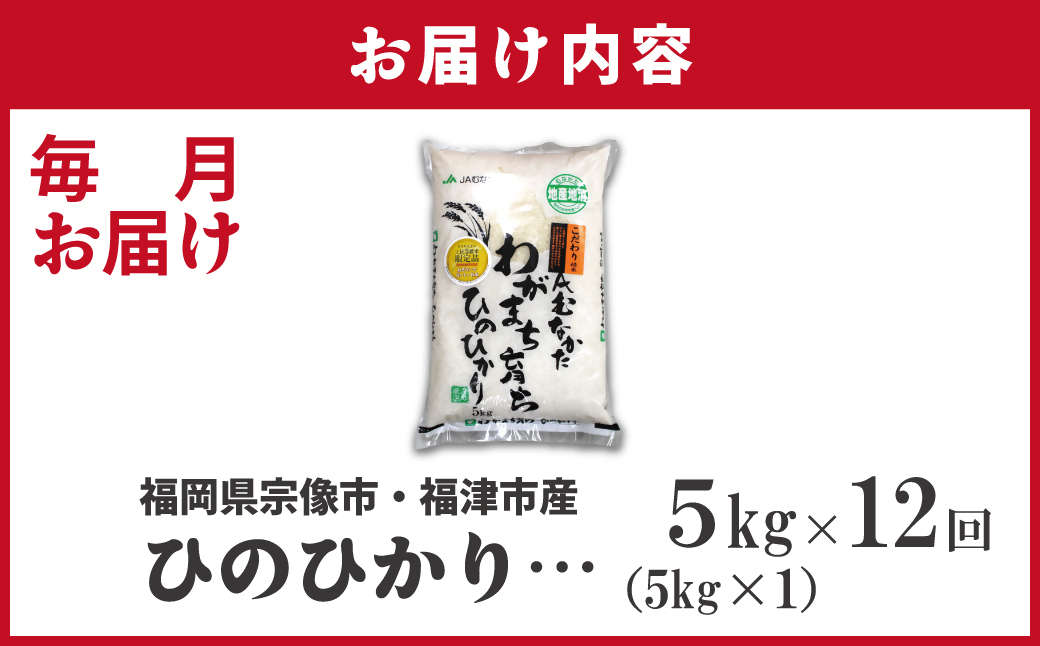 令和7年産 新米先行予約！【定期便/年12回】「ひのひかり」5kg【ほたるの里】_HB0197
