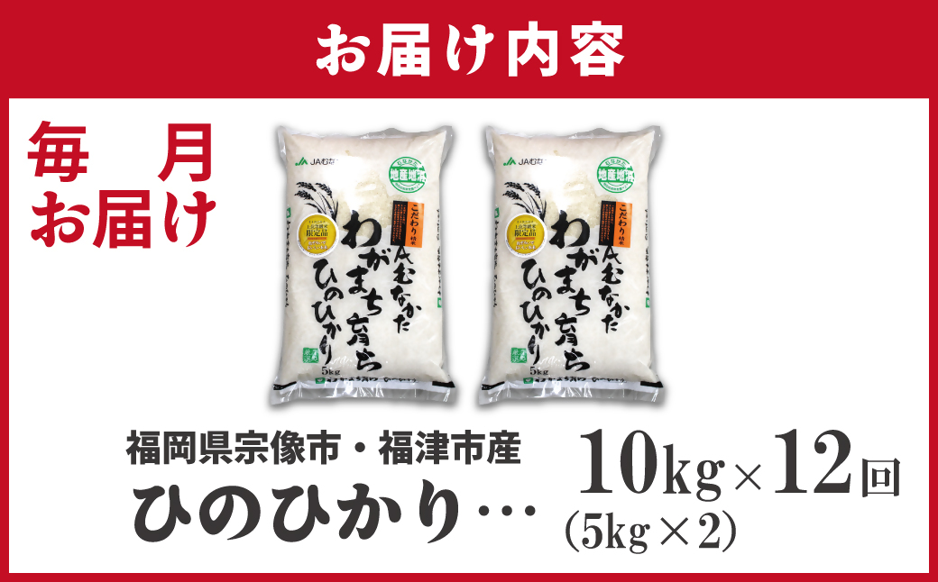 令和7年産 新米先行予約！【定期便/年12回】「ひのひかり」10kg【ほたるの里】_HB0199
