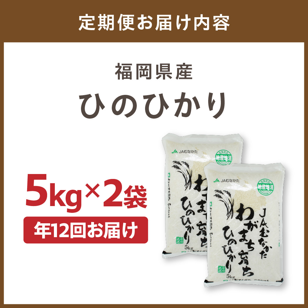 令和7年産 【定期便/年12回】「ひのひかり」10kg【ほたるの里】_HB0199