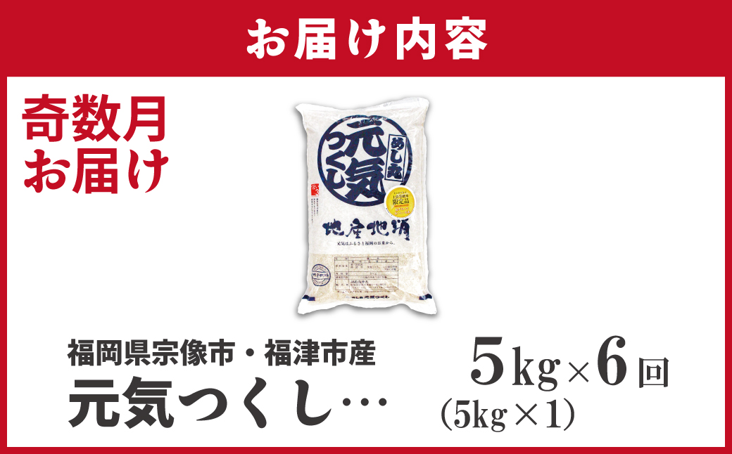 令和7年産 新米先行予約！【定期便/年6回】「元気つくし」5kg【ほたるの里】_HB0204