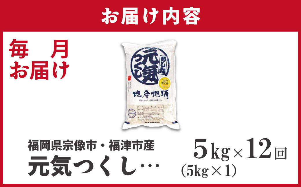 令和7年産 新米先行予約！【定期便/年12回】「元気つくし」5kg【ほたるの里】_HB0205