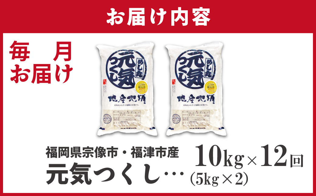 令和7年産 新米先行予約！【定期便/年12回】「元気つくし」10kg【ほたるの里】_HB0207