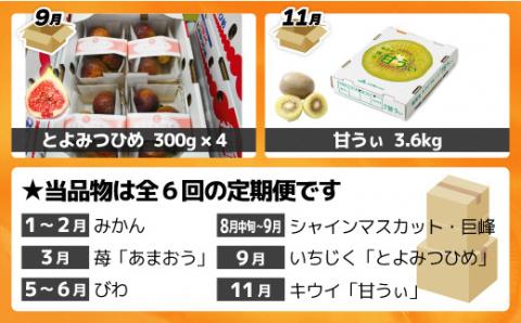 【定期便/年6回】むなかた旬のフルーツ6回定期便【ほたるの里】_KB0090