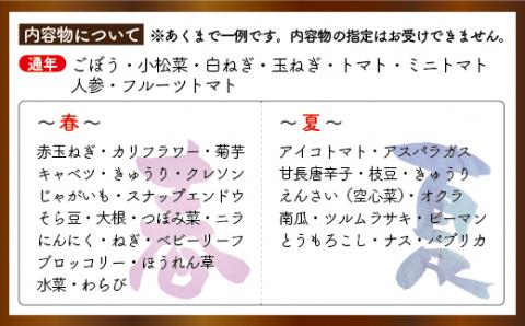 【定期便／年12回／毎月お届け】むなかた旬の野菜お任せセット 11～12品【ほたるの里】_KB0027