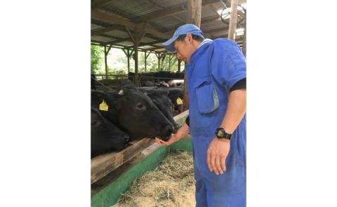 【定期便/年6回/奇数月にお届け】お米で育てたむなかた牛 切落し1kg 6ヶ月定期便（牧場直送）【すすき牧場】_KB0094