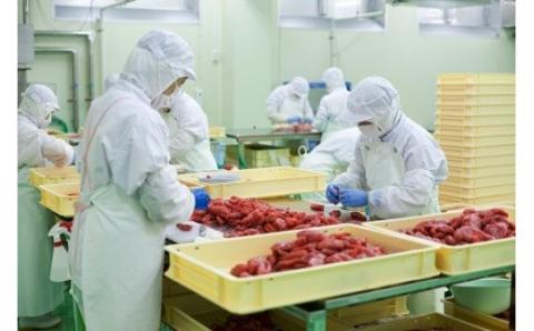 【完全受注生産！】できたて「生」明太子400g【海千】_KA0668