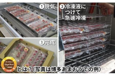 急速冷凍！福岡県特産品プレミアムいちじく「とよみつひめ」 冷凍いちじく 大容量2kg【JAほたるの里】_KA0279