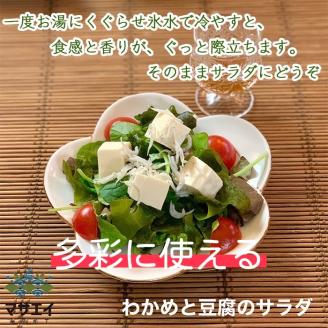 【定期便/年６回/奇数月お届け】釜揚げ塩蔵わかめ（120g×5パック）【マサエイ水産加工】_KB0097