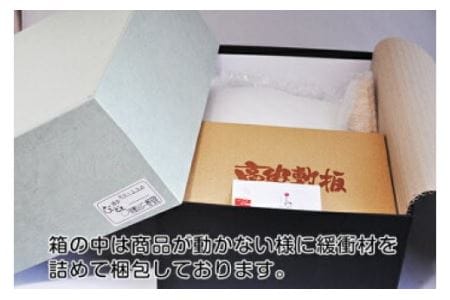 天翔龍 紅 SO-55【粋工房】_KA1183