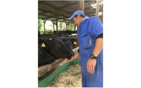 お米で育てたむなかた牛　赤身スライス500g・切落し500g（牧場直送）【すすき牧場】_KA0151