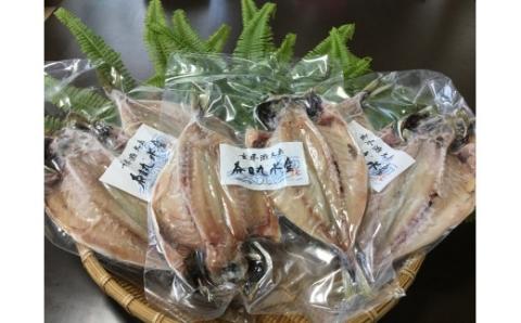 宗像大島で獲れた「鮮魚の干物」の詰め合わせセット【10～11枚】【JAほたるの里】_KA0264