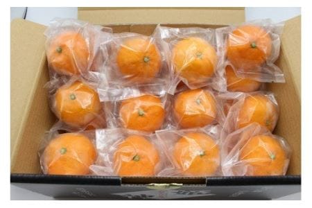 急速冷凍！冷凍みかん JAむなかた柑橘ブランド｢姫の神｣2kg 甘くておいしいみかん【JAほたるの里】_KA0269