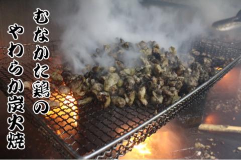 むなかた鶏加工品2点セット（とり皮チップス・やわらか炭火焼）【道の駅むなかた】_KA0772