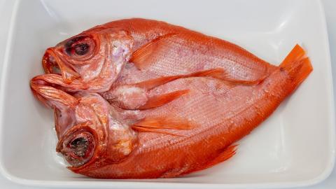 宗像特選　海産物セット【オアシス】_KA0774