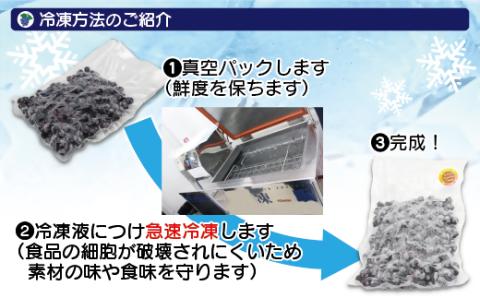 有機栽培・栽培期間中農薬不使用！急速冷凍ブルーベリー 1.2kg 【JAほたるの里】_KA0957