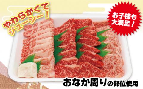 JAむなかたよりお届け！博多和牛焼肉用600g【ほたるの里】_KA0952