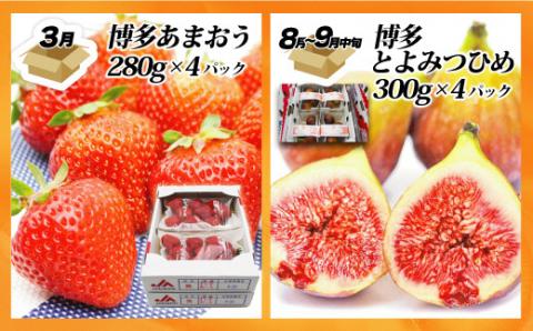 【定期便/年４回】旬の福岡フルーツ定期便【ほたるの里】_KB0087