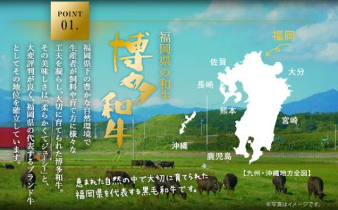 博多和牛 たっぷり ハンバーグ 140g×10個入り 計1.4kg ジャポネソース付き【伊豆丸商店】_KA0235